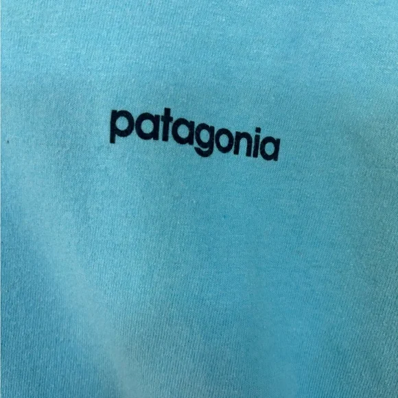 Patagonia Men's Light Blue Mountain Tee Medium - Picture 3 of 5